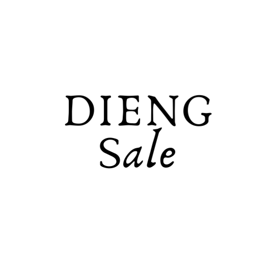 diengsale